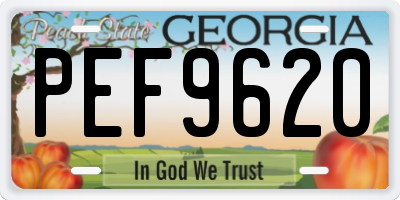GA license plate PEF9620