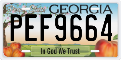GA license plate PEF9664