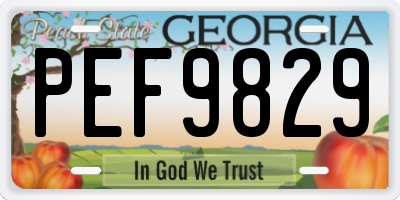 GA license plate PEF9829