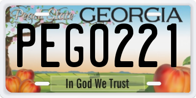 GA license plate PEG0221