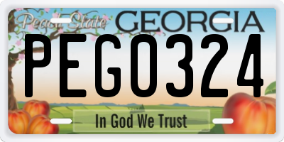 GA license plate PEG0324