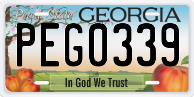GA license plate PEG0339