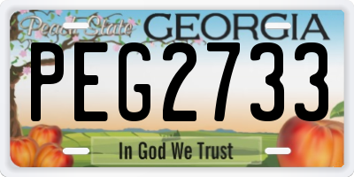 GA license plate PEG2733