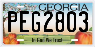 GA license plate PEG2803