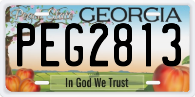 GA license plate PEG2813