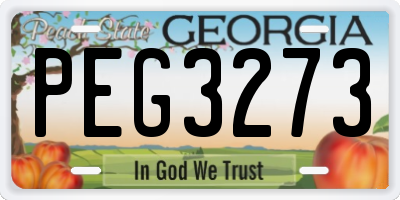 GA license plate PEG3273