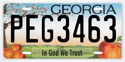GA license plate PEG3463