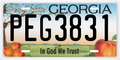 GA license plate PEG3831