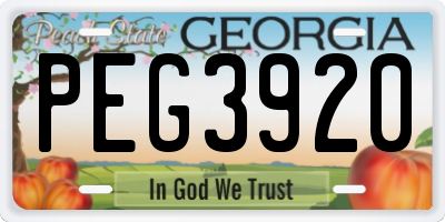 GA license plate PEG3920