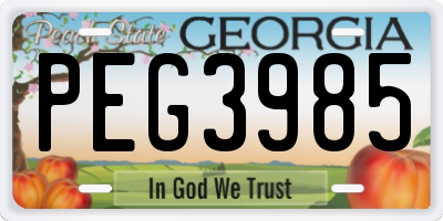 GA license plate PEG3985