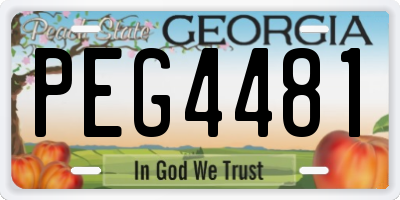 GA license plate PEG4481