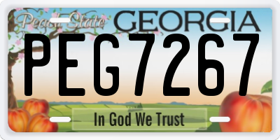 GA license plate PEG7267