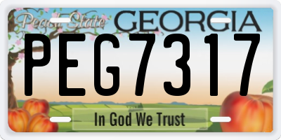 GA license plate PEG7317