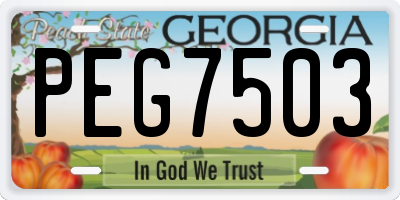 GA license plate PEG7503