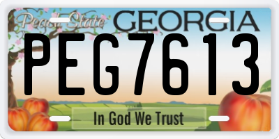 GA license plate PEG7613