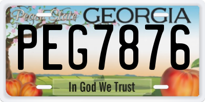 GA license plate PEG7876