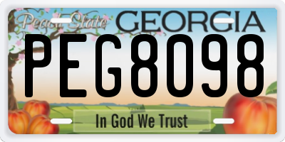 GA license plate PEG8098