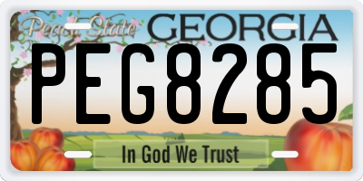 GA license plate PEG8285