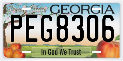 GA license plate PEG8306