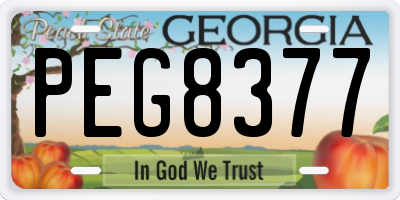 GA license plate PEG8377