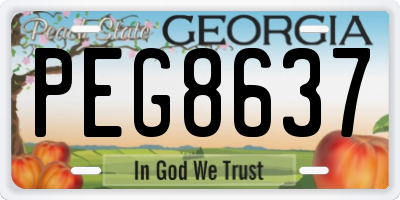 GA license plate PEG8637