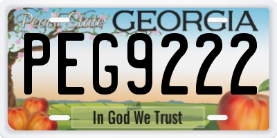 GA license plate PEG9222
