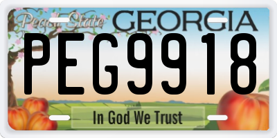 GA license plate PEG9918
