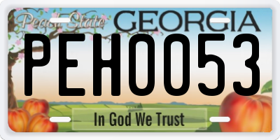 GA license plate PEH0053