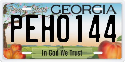GA license plate PEH0144