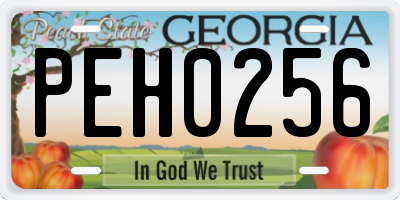 GA license plate PEH0256