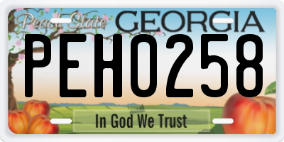 GA license plate PEH0258