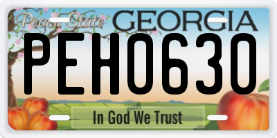 GA license plate PEH0630