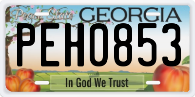 GA license plate PEH0853