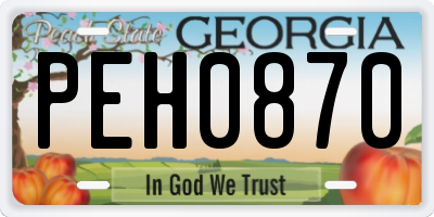 GA license plate PEH0870