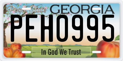 GA license plate PEH0995
