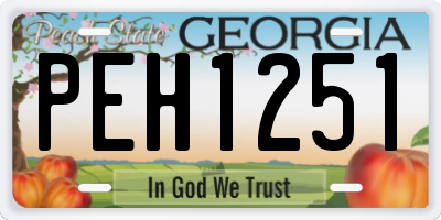 GA license plate PEH1251