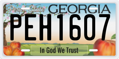 GA license plate PEH1607