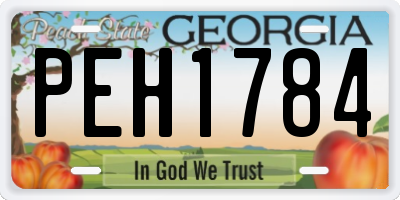 GA license plate PEH1784