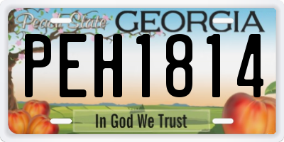 GA license plate PEH1814