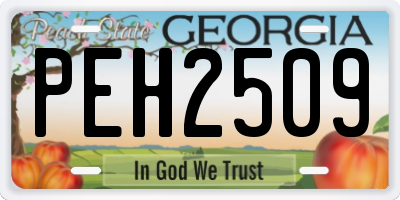 GA license plate PEH2509