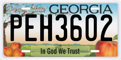 GA license plate PEH3602