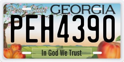 GA license plate PEH4390