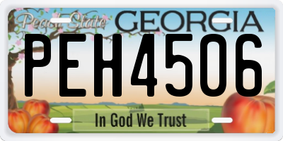GA license plate PEH4506