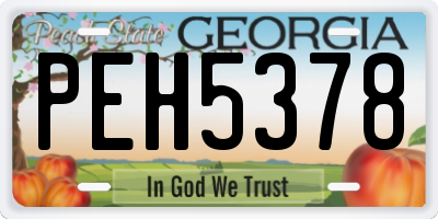 GA license plate PEH5378