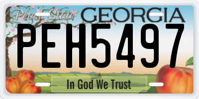 GA license plate PEH5497