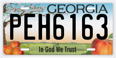 GA license plate PEH6163