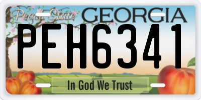 GA license plate PEH6341