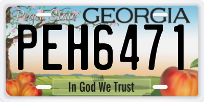 GA license plate PEH6471