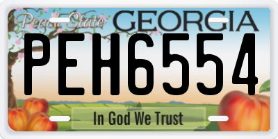 GA license plate PEH6554