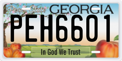GA license plate PEH6601